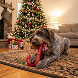 Candy Cane Nylon Dog Toy for Aggressive Chewers | USA Made | SodaPup - SodaPup/True Dogs, LLC - Flyclothing LLC