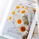 1.3 Carat Moissanite 925 Sterling Silver Drop Necklace - Trendsi - Flyclothing LLC