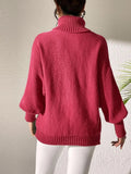 Turtleneck Long Sleeve Sweater - Trendsi