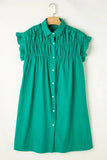 Collared Neck Flounce Sleeve Dress - Trendsi