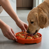 Citrus Softie eTray Shallow Slow Feeder Dog Bowl | USA Made - SodaPup/True Dogs, LLC - Flyclothing LLC