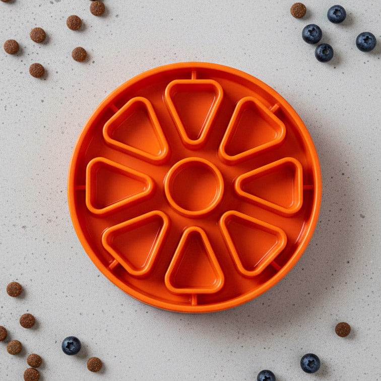 Citrus Softie eTray Shallow Slow Feeder Dog Bowl | USA Made - SodaPup/True Dogs, LLC - Flyclothing LLC