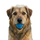 Glitter Ball Dog Toy | Soft PUP-X Rubber Floating Fetch Ball with Treat Dispenser | USA Made - SodaPup/True Dogs, LLC - Flyclothing LLC