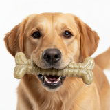 Tough Bone Nylon Chew Bone | Ultra-Durable Dog Toy for Aggressive Chewers | SodaPup - SodaPup/True Dogs, LLC - Flyclothing LLC
