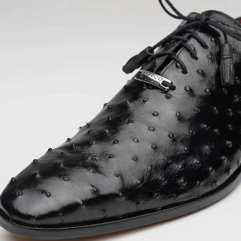 Criss Black - Marco Di Milano - Flyclothing LLC