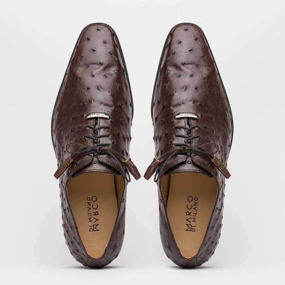 Criss Brown - Marco Di Milano - Flyclothing LLC