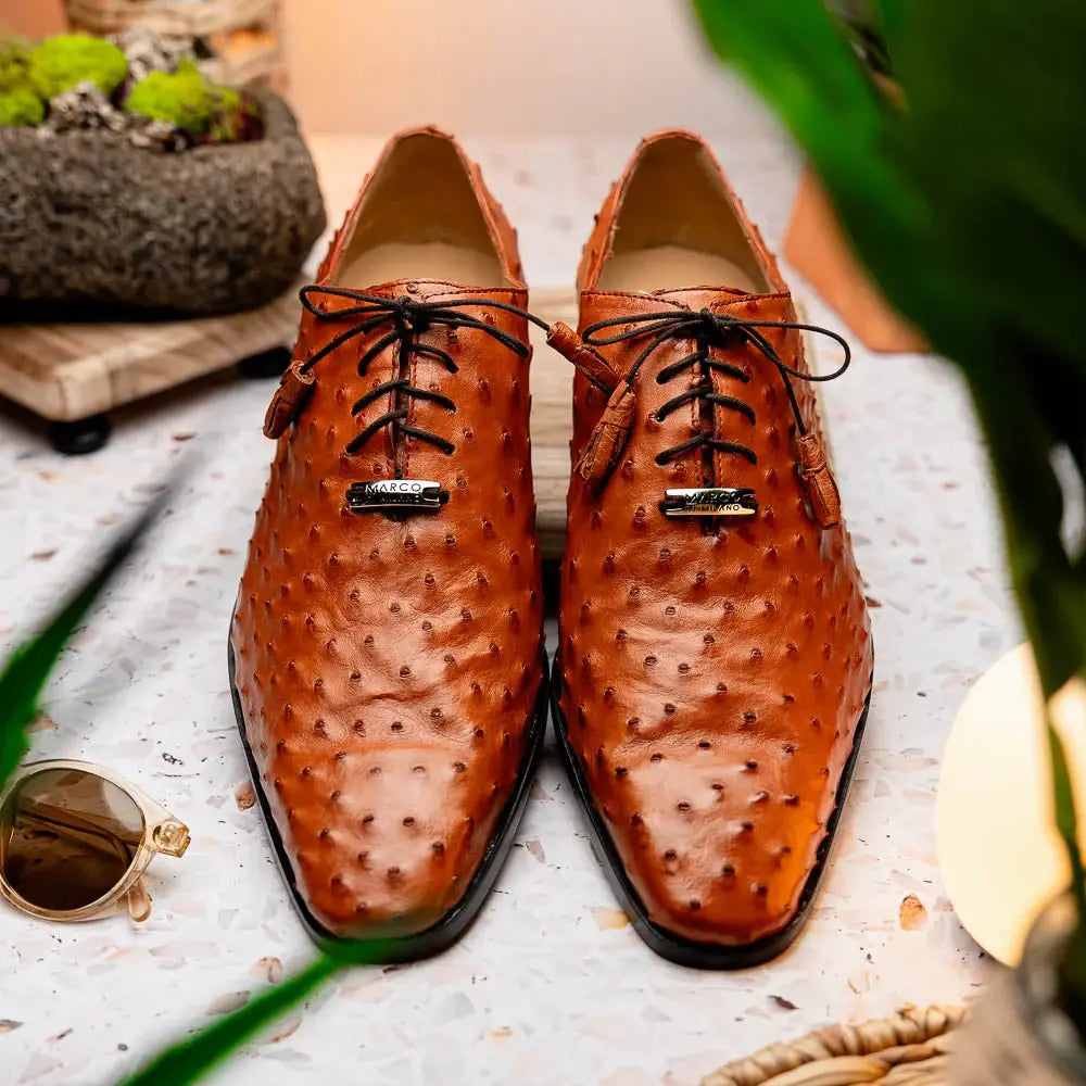 Criss Brandy - Marco Di Milano - Flyclothing LLC
