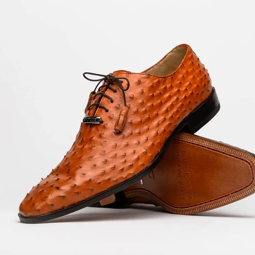 Criss Brandy - Marco Di Milano - Flyclothing LLC