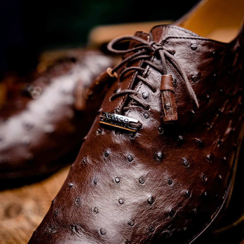 Criss Brown - Marco Di Milano - Flyclothing LLC