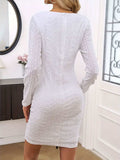 Lace Detail Round Neck Long Sleeve Mini Dress - Trendsi - Flyclothing LLC