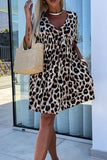 Cutout Back Leopard V-Neck Short Sleeve Mini Dress - Trendsi