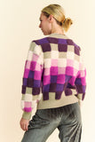 Davi & Dani Checkered Round Neck Long Sleeve Sweater - Trendsi