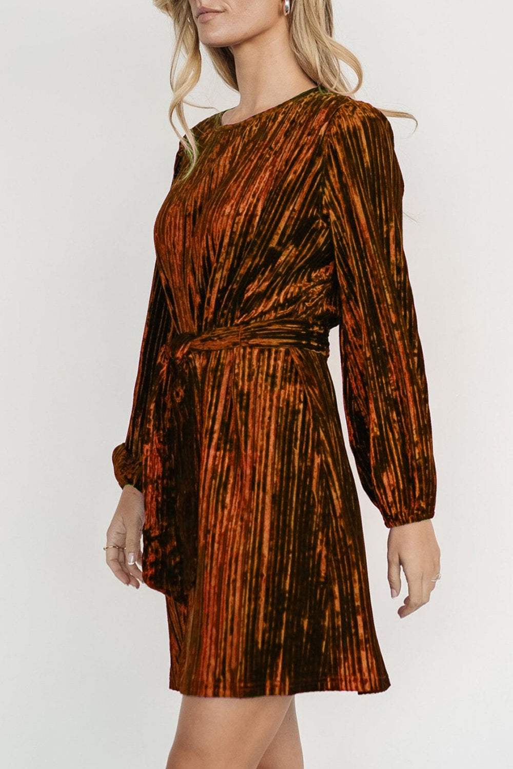 Velvet Round Neck Tie Waist Long Sleeve Mini Dress - Trendsi - Flyclothing LLC