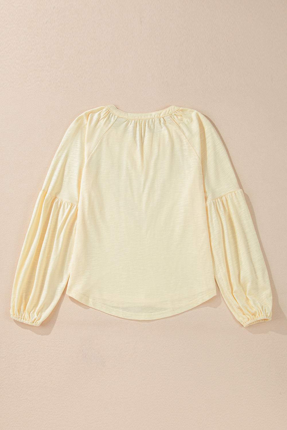 Embroidered Notched Long Sleeve Blouse - Trendsi - Flyclothing LLC