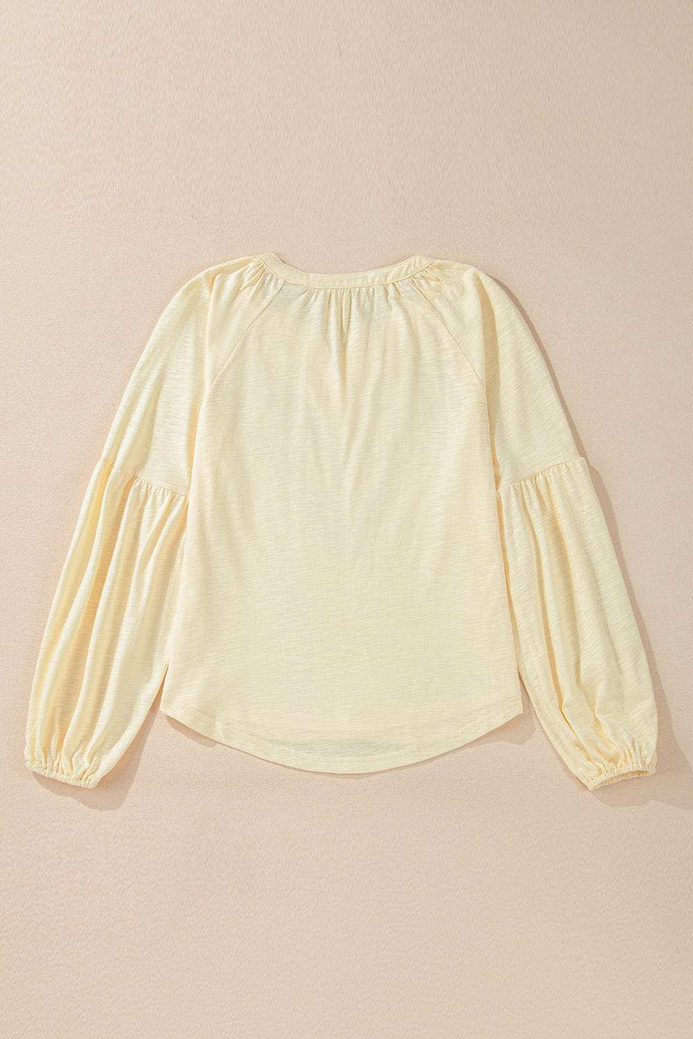 Embroidered Notched Long Sleeve Blouse - Trendsi - Flyclothing LLC