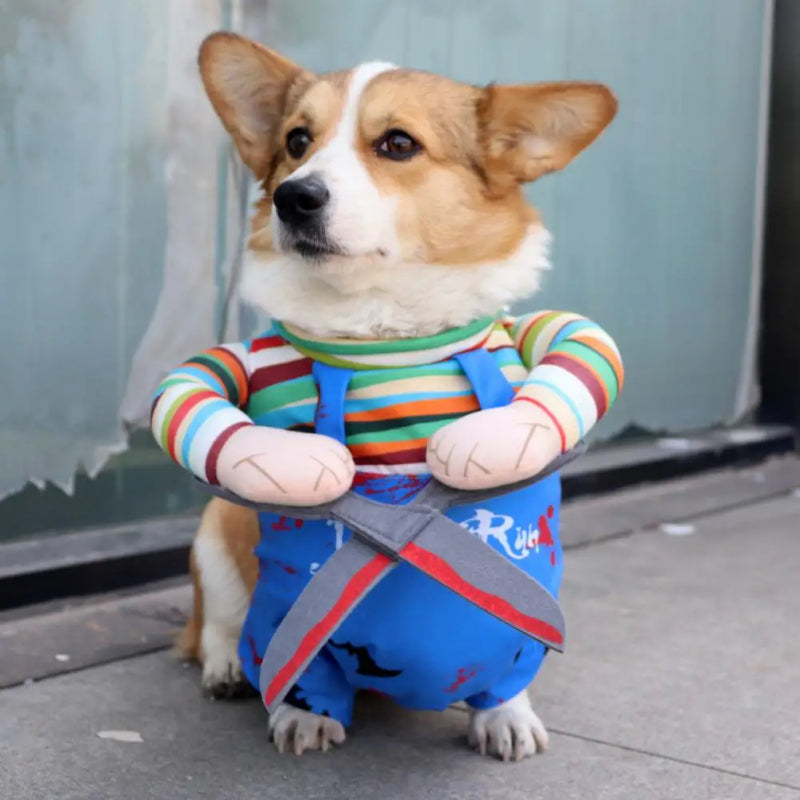 Pet Halloween Costume Cat Funny Outfit With Adjustable Straps Scissor-Shaped Suit Cosplay Halloween Christmas Clothes For Dogs - My Store - Flyclothing LLC
