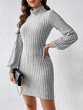 Turtleneck Long Sleeve Mini Dress - Trendsi