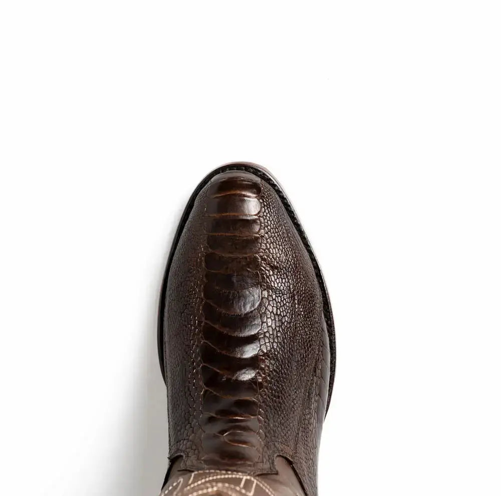 Denver Clear Brown - Marco Di Milano - Flyclothing LLC
