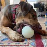 Dog Treat Dispensers - Farm To Pet - Flyclothing LLC