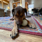 Dog Treat Dispensers - Farm To Pet - Flyclothing LLC