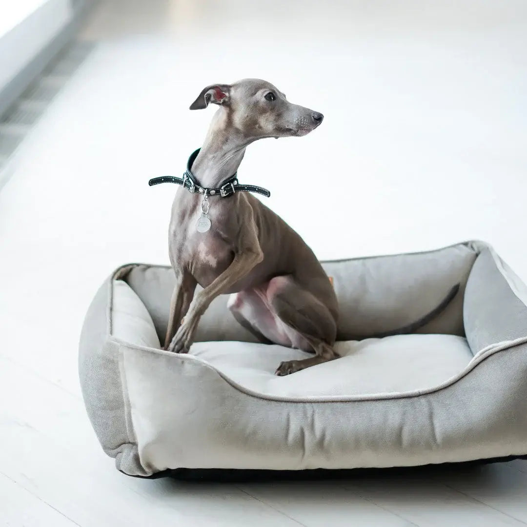 Chester & Lee | Classic Velvet Sleeper Dog Bed Gray - Chester & Lee - Flyclothing LLC