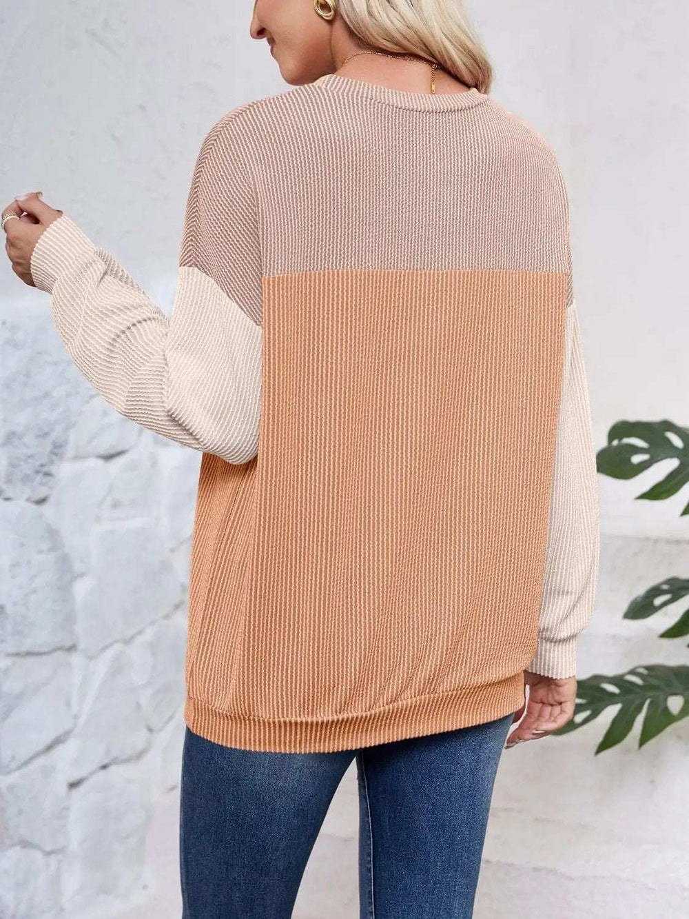 Color Block Round Neck Long Sleeve Sweatshirt - Trendsi - Flyclothing LLC