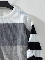 Color Block Round Neck Long Sleeve Sweater - Trendsi - Flyclothing LLC