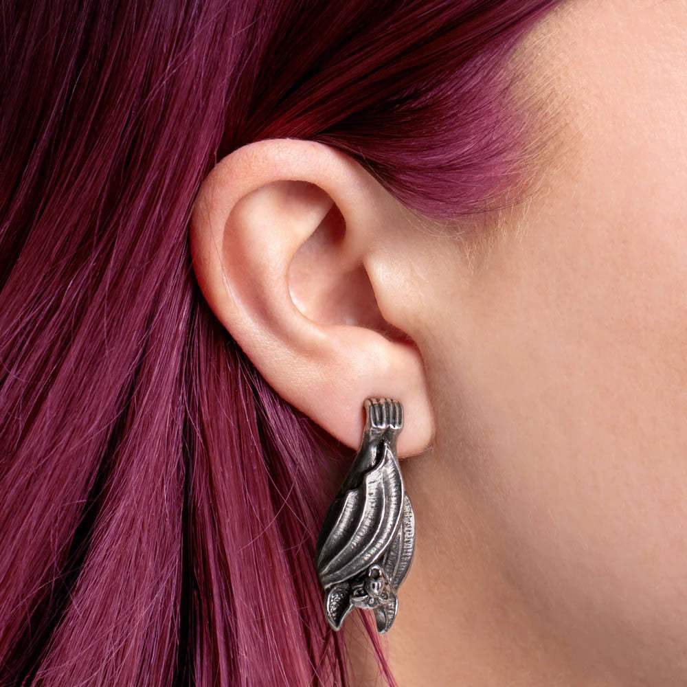 Before Dusk Stud Earrings - Alchemy of England - Flyclothing LLC