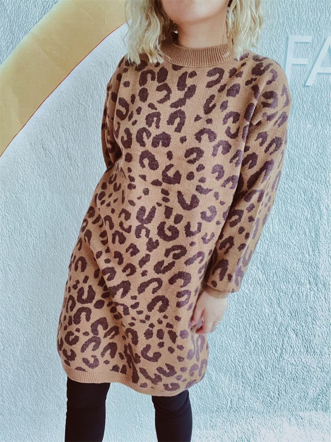 Leopard Round Neck Long Sleeve Sweater - Trendsi