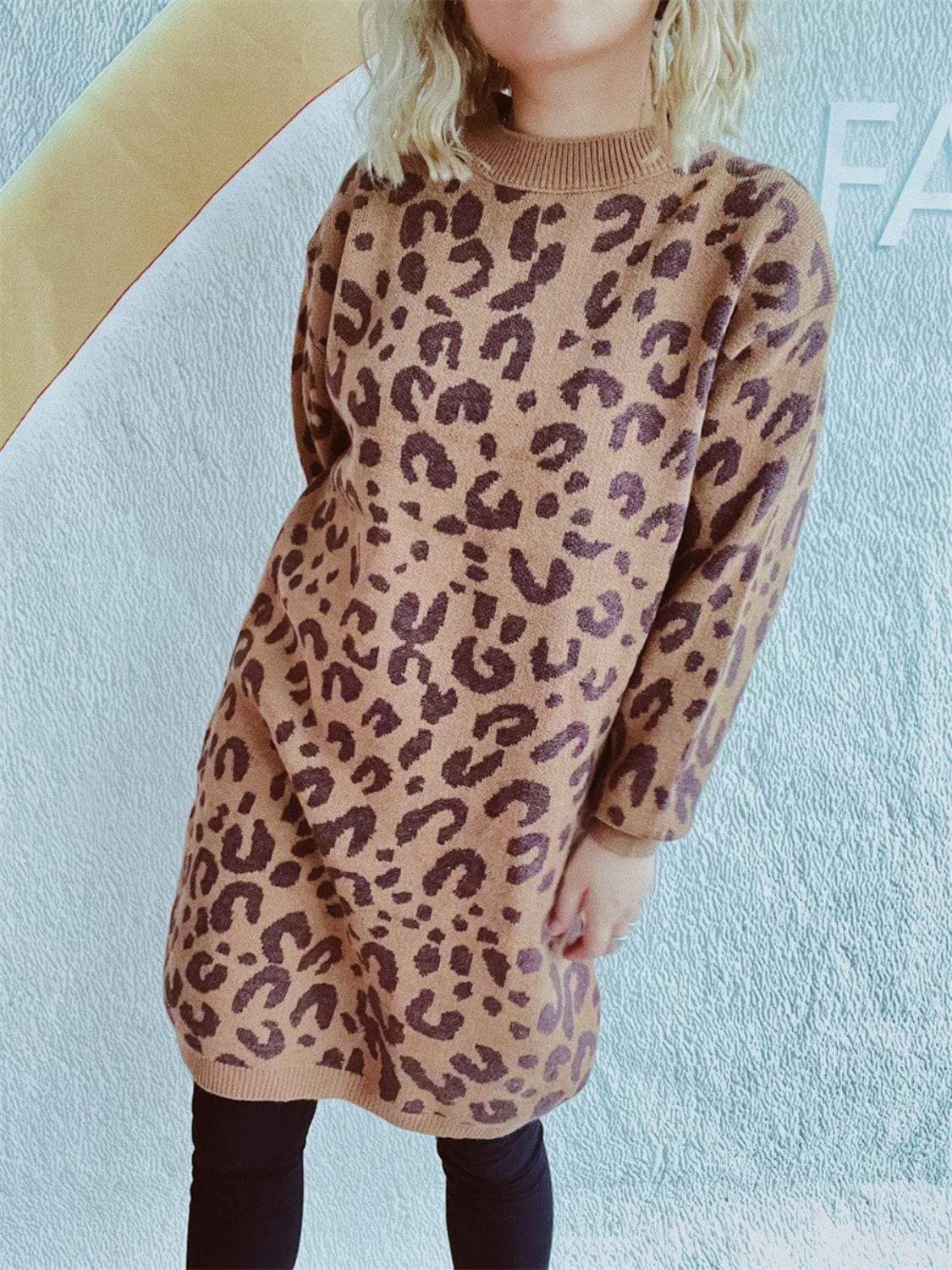 Leopard Round Neck Long Sleeve Sweater - Trendsi - Flyclothing LLC