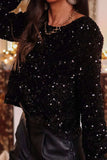 Sequin Round Neck Long Sleeve Blouse - Trendsi - Flyclothing LLC