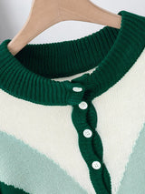 Color Block Button Detail Sweater - Trendsi - Flyclothing LLC