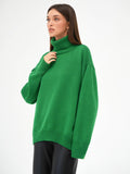 Turtleneck Long Sleeve Sweater - Trendsi
