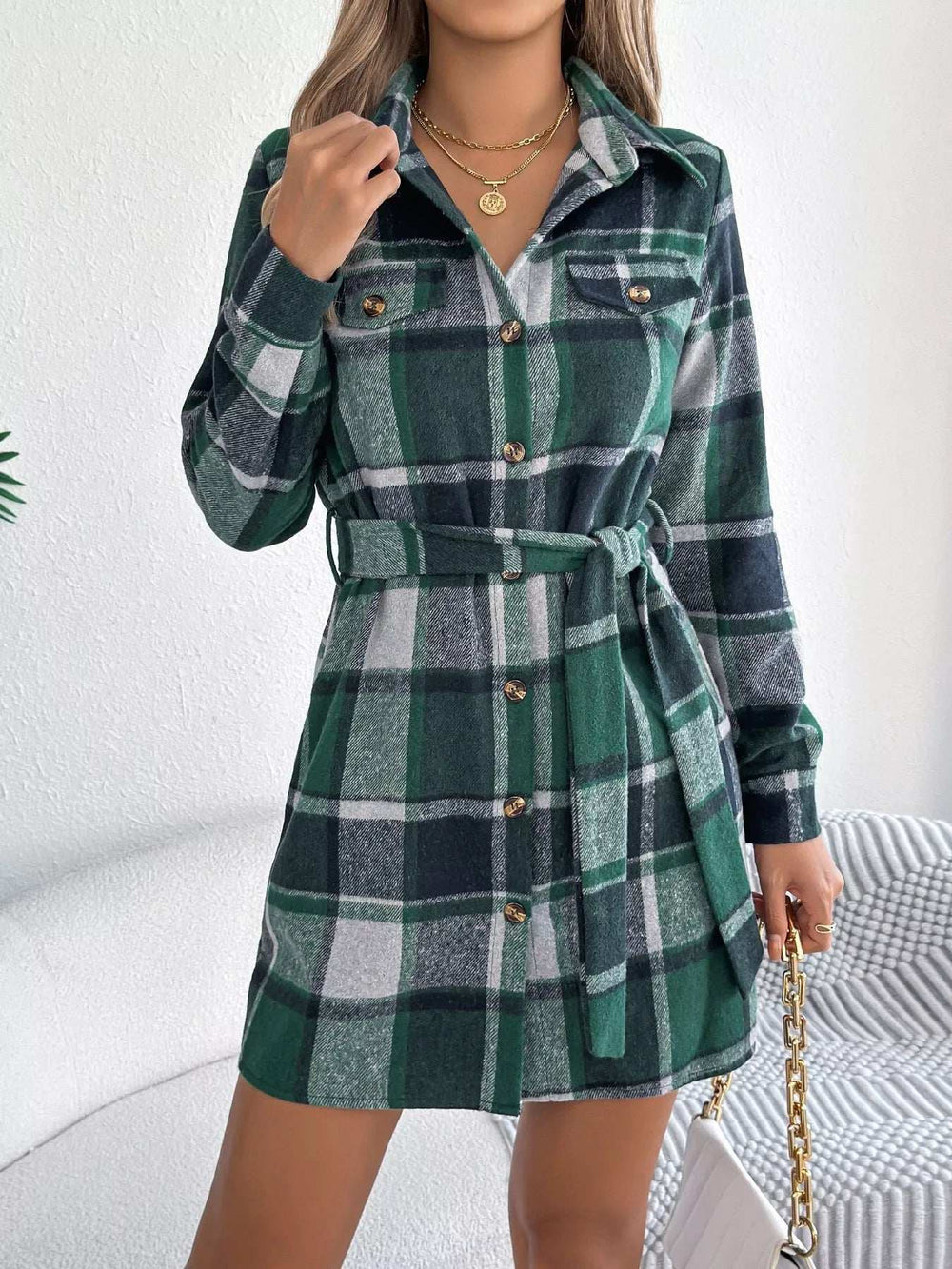 Plaid Button Front Tie Waist Shirt Dress - Trendsi - Flyclothing LLC