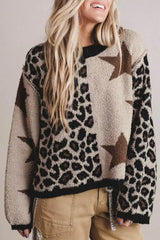 Leopard Star Pattern Round Neck Long Sleeve Shift Sweater - Trendsi - Flyclothing LLC