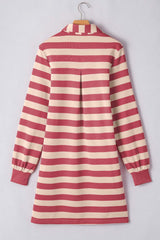 Contrast Striped Johnny Collar Long Sleeve Mini Dress - Trendsi - Flyclothing LLC