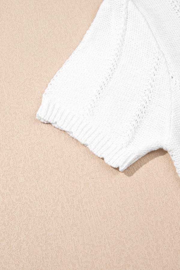 Openwork Round Neck Short Sleeve Knit Top - Trendsi - Flyclothing LLC