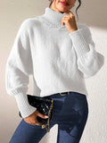 Turtleneck Long Sleeve Sweater - Trendsi - Flyclothing LLC