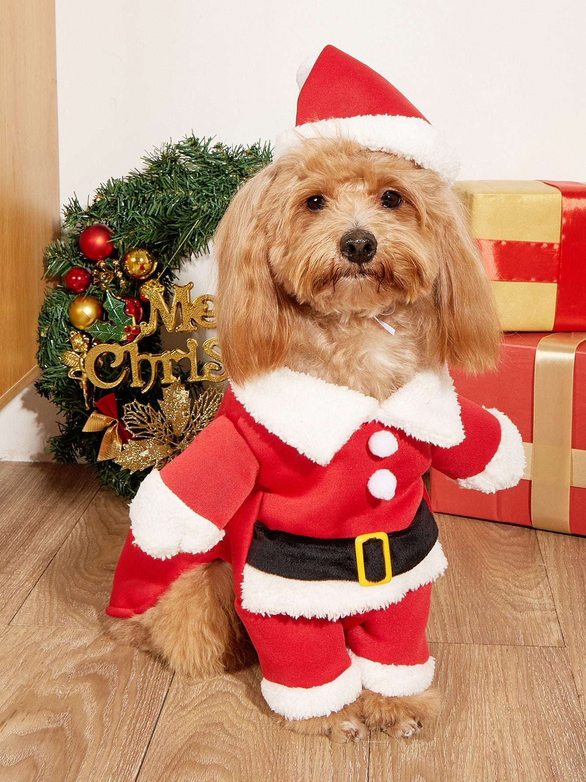 Christmas Pet Small Dog Pet Costume - My Store - Flyclothing LLC