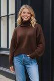 Basic Bae Turtleneck Dropped Shoulder Long Sleeve Sweater - Trendsi - Flyclothing LLC