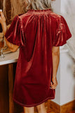 Velvet Tie Neck Short Sleeve Mini Dress - Trendsi