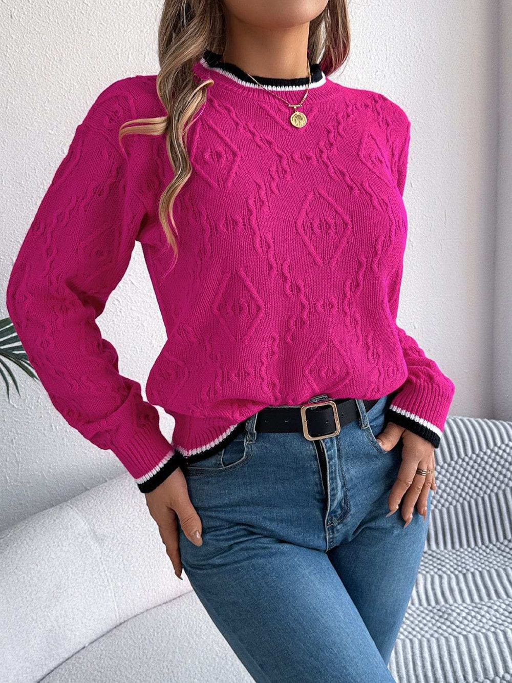 Contrast Trim Round Neck Long Sleeve Sweater - Trendsi - Flyclothing LLC