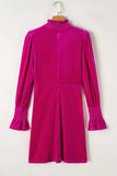 Frill Mock Neck Flounce Sleeve Mini Dress - Trendsi - Flyclothing LLC