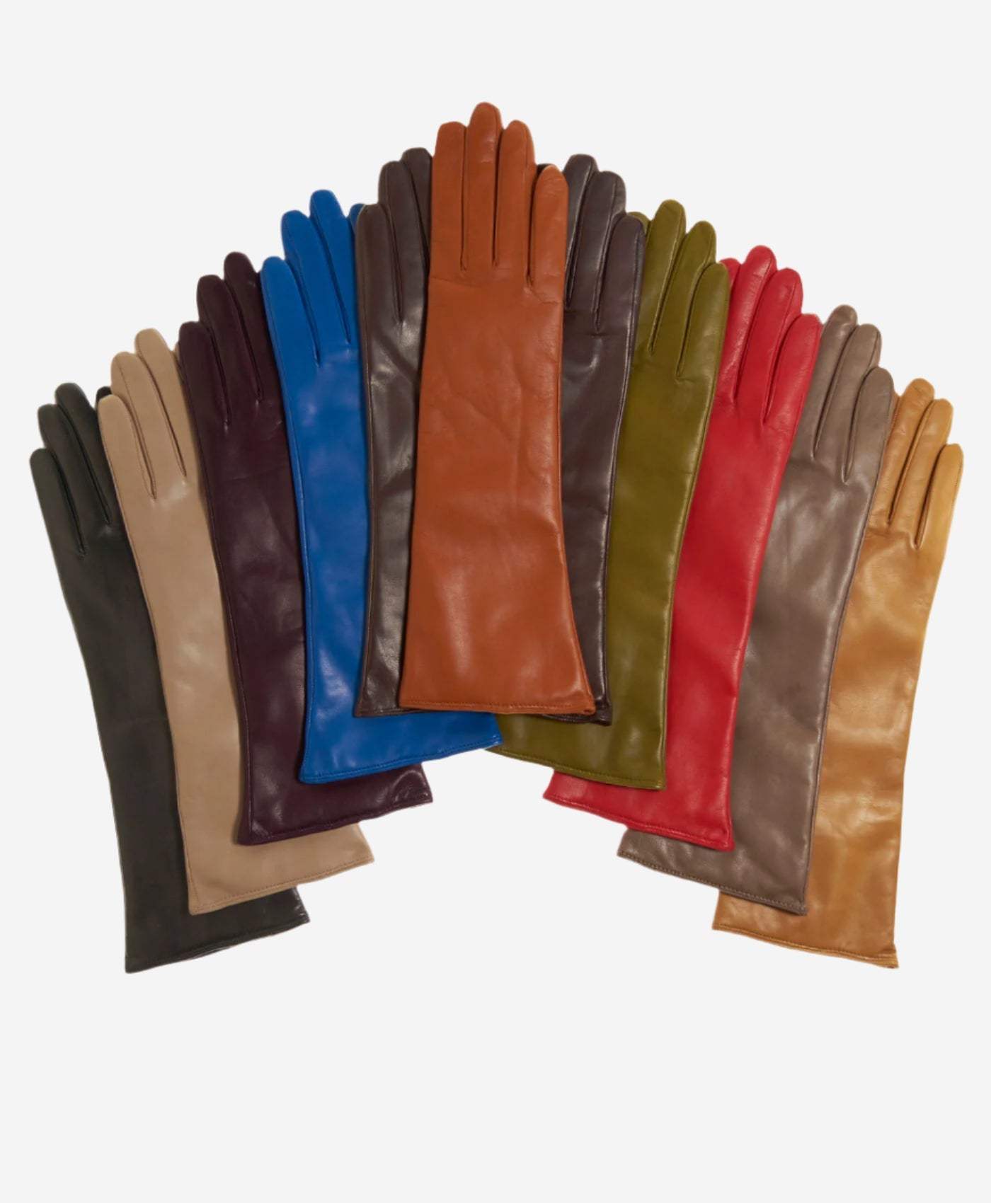 Leonora (black) - Italian 8-button length cashmere lined leather gloves - Leather Gloves Online - Flyclothing LLC