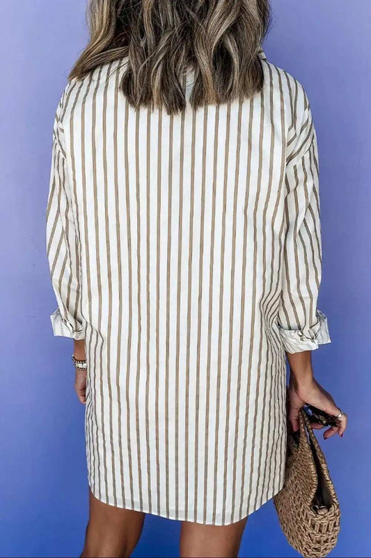 Striped Long Sleeve Mini Shirt Dress - Trendsi - Flyclothing LLC