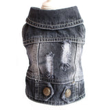 Designer Dog Clothes Small Dog Denim Jacket Coat Cat Costume Puppy Jeans Vest Spring Clothing - My Store - Flyclothing LLC