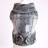Designer Dog Clothes Small Dog Denim Jacket Coat Cat Costume Puppy Jeans Vest Spring Clothing - My Store - Flyclothing LLC