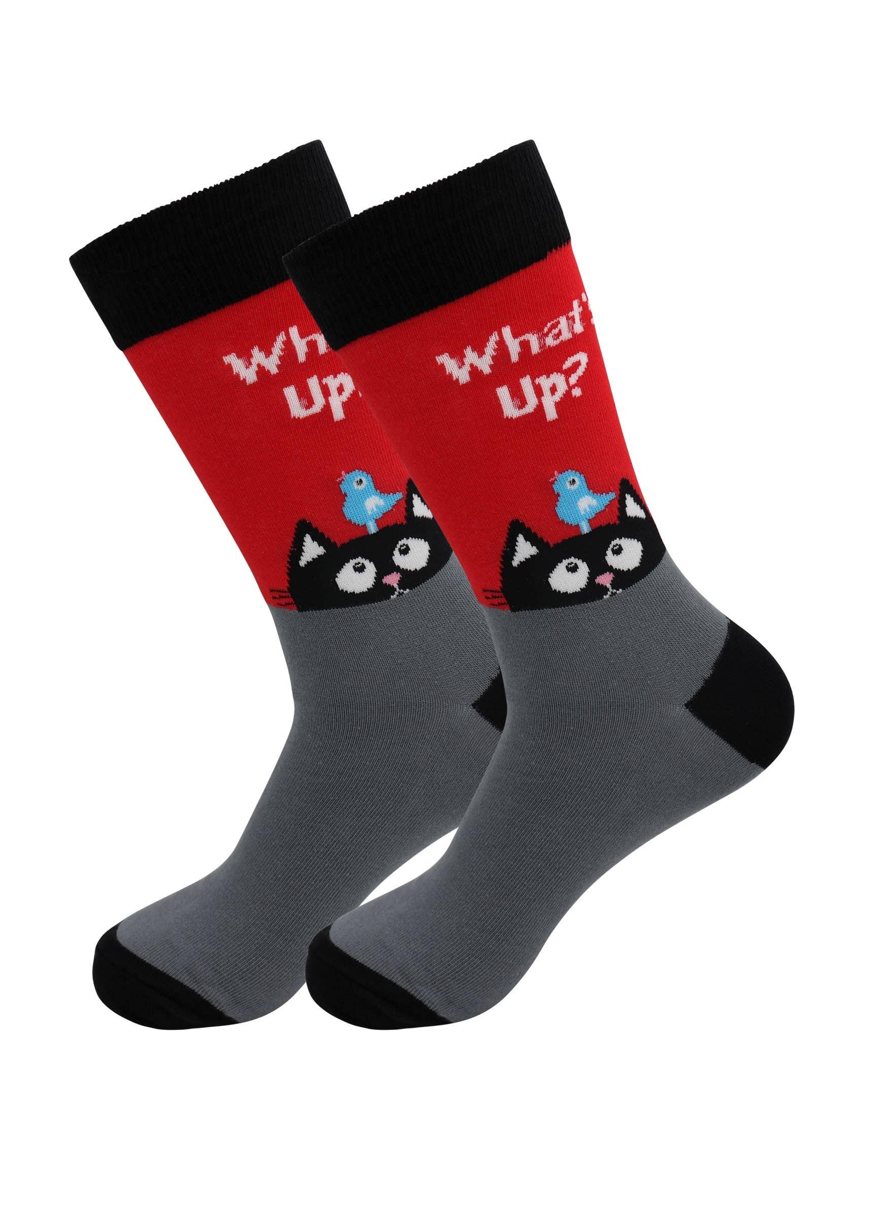 What's Up Cat Socks - Comfy Cotton for Men & Women - Real Sic - Flyclothing LLC