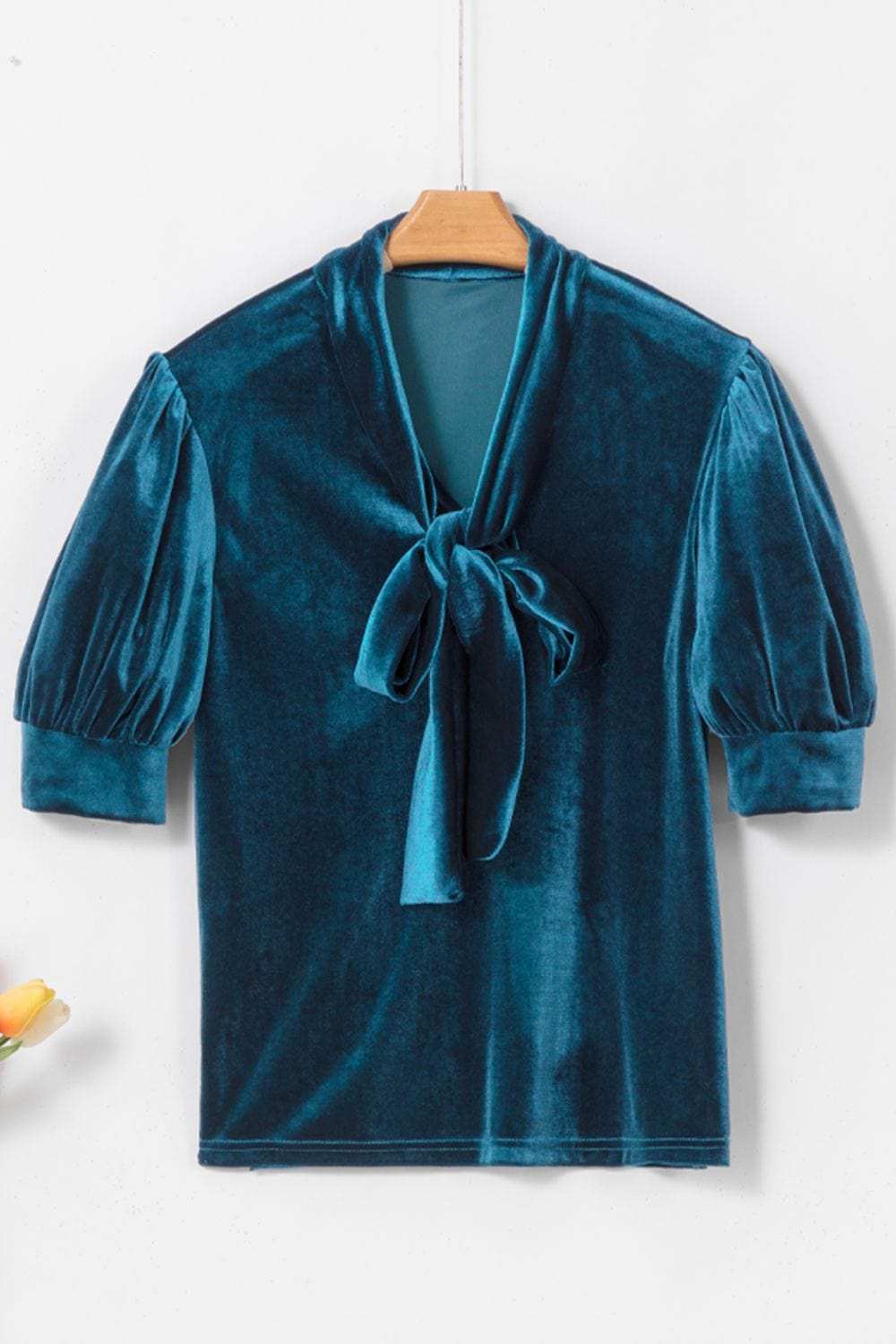 Tie Neck Half Sleeve Blouse - Trendsi - Flyclothing LLC