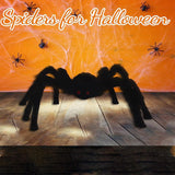 Halloween Decoration Simulation Plush Spider - My Store - Flyclothing LLC